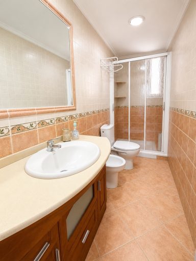 Baño común con plato de ducha.